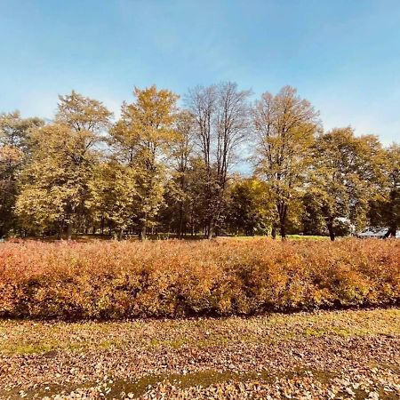 Apartamenty Ktw Debowe Tarasy Katoviçe Dış mekan fotoğraf