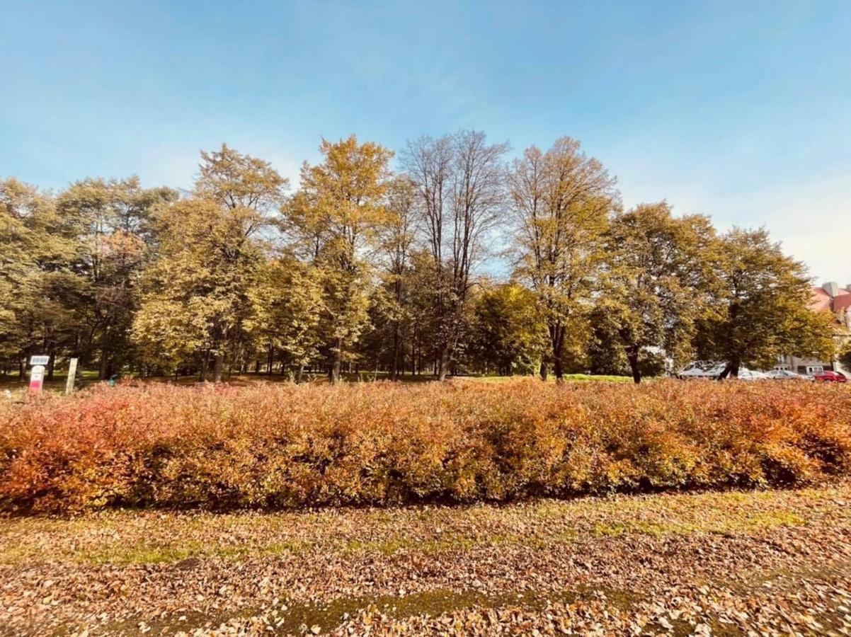 Apartamenty Ktw Debowe Tarasy Katoviçe Dış mekan fotoğraf